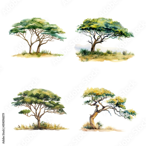Set of vector safari trees in style of watercolor