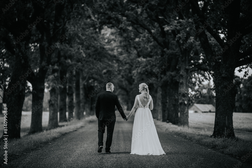 Valmiera, Latvia - August 25, 2023 - A bride and groom walk hand in hand down a tree-lined path, captured in a serene, black and white photograph. Valmiera, Latvia - August 25, 2023 - A bride and groom walk hand in hand down a tree-lined path, captured in a serene, black and white photograph.