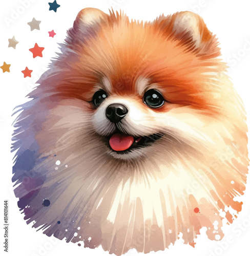 watercolor illustration of cute pomeranian
