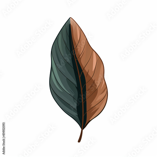 Nature-Inspired Beauty Portrayed in a Leaf Icon Illustration