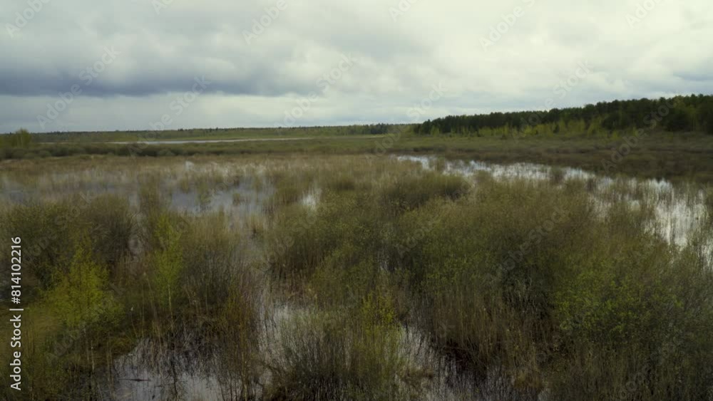 Wide-angle image of a tranquil marshland under an overcast sky, featuring reflective water surfaces and lush wetland vegetation. Perfect for themes of natural landscapes and ecosystems Wide-angle image of a tranquil marshland under an overcast sky, featuring reflective water surfaces and lush wetland vegetation. Perfect for themes of natural landscapes and ecosystems
