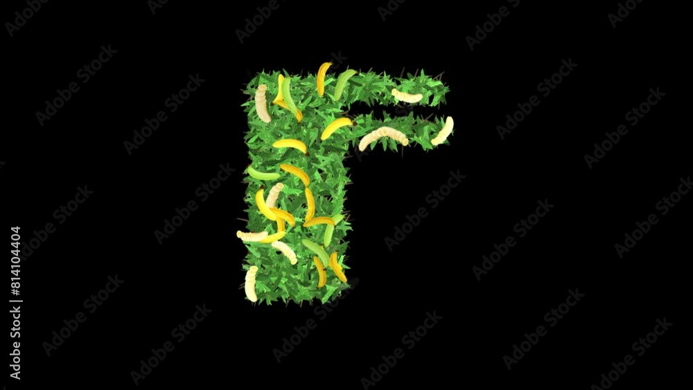 Botanical Alphabet Typography: Letter 'F' in Banana with leaves and Branches, This video offers a captivating blend of typography and nature. Botanical Alphabet Typography: Letter 'F' in Banana with leaves and Branches, This video offers a captivating blend of typography and nature.