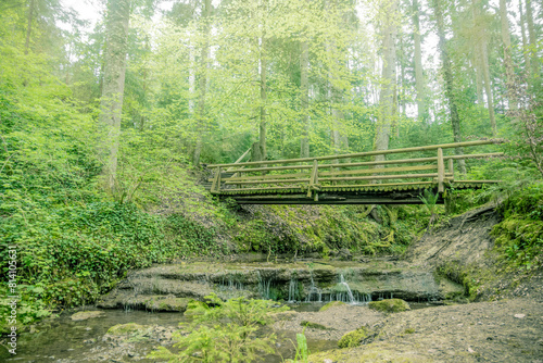 Wallpaper Mural Wald Torontodigital.ca