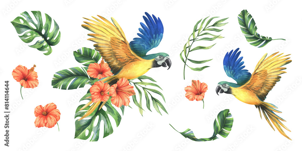 Tropical palm leaves, monstera and flowers of plumeria, hibiscus, bright juicy with blue-yellow macaw parrot. Hand drawn watercolor botanical illustration. Set of elements isolated from background Tropical palm leaves, monstera and flowers of plumeria, hibiscus, bright juicy with blue-yellow macaw parrot. Hand drawn watercolor botanical illustration. Set of elements isolated from background