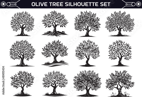 Olive Tree Silhouette Vector Illustration Set