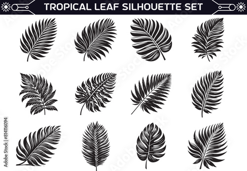 Topical Leaf Silhouette Vector Illustration Set