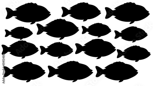 a variety of tilapia fish types from around the world, with each silhouette (1)