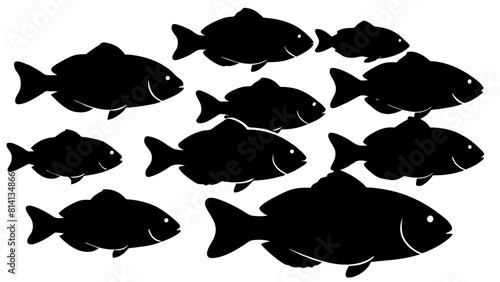 a variety of tilapia fish types from around the world, with each silhouette