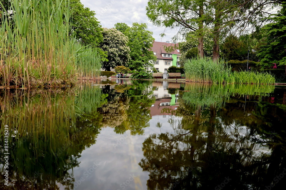 Obraz premium Teich im Freiburger Stadtgarten im Frühling