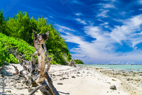 Photos Tropical coast on the Cook Islands