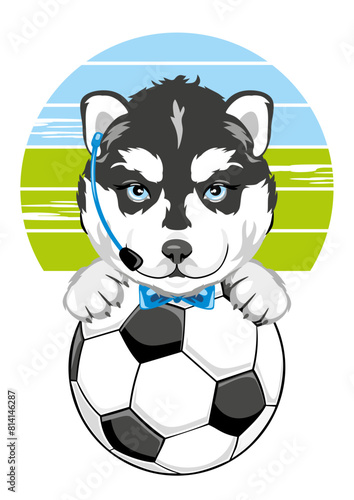 Husky puppy are strict soccer referee
