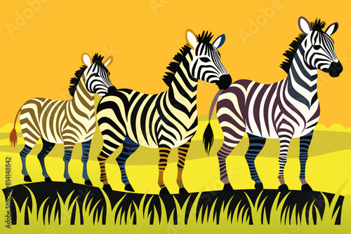 zebra cartoon vector illustration