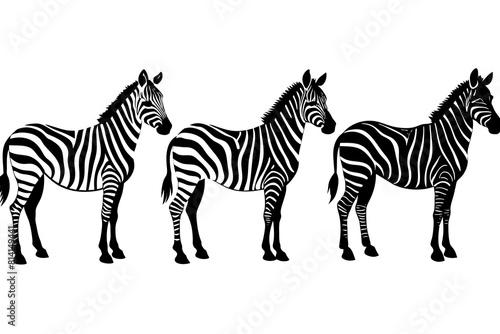zebra line art silhouette illustration