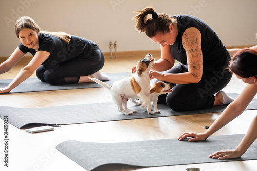 yoga class with Jack Russell terrier puppies in the fitness room.