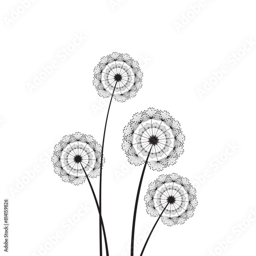 Vector illustration dandelion time. Black Dandelion seeds blowing in the wind. The wind inflates a dandelion isolated on a white background. © TestersDesigns