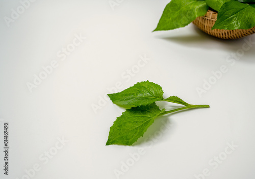 Chwinamul, green leaves close-up
