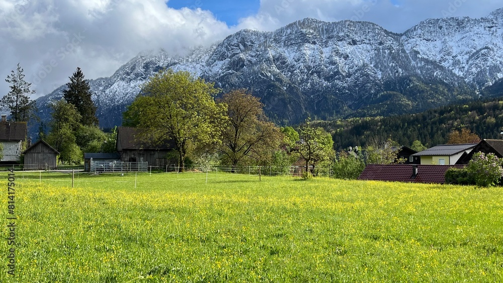 Fototapeta premium Wiosna w Alpach