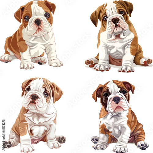 brown and white bulldog puppy is sitting down, clipart