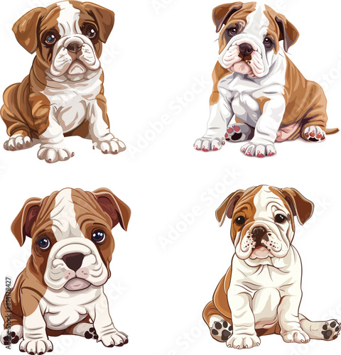 brown and white bulldog puppy is sitting down, clipart