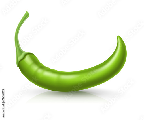 Green Hot chili pepper pod. Realistic Spicy vegetable, mexican cooking ingredient for salsa. Isolated on white background. Vector illustration.