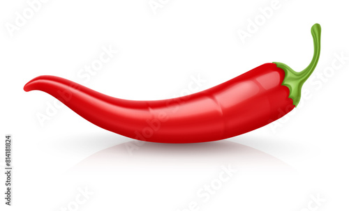 Red Hot chili pepper pod. Realistic Spicy vegetable, mexican cooking ingredient for salsa. Isolated on white background. Vector illustration.