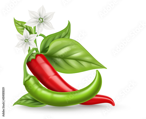 Red and Green Hot chili pepper pods with green leaves white flower. Realistic Spicy vegetable, mexican cooking ingredient for salsa. Isolated on background. Vector illustration.