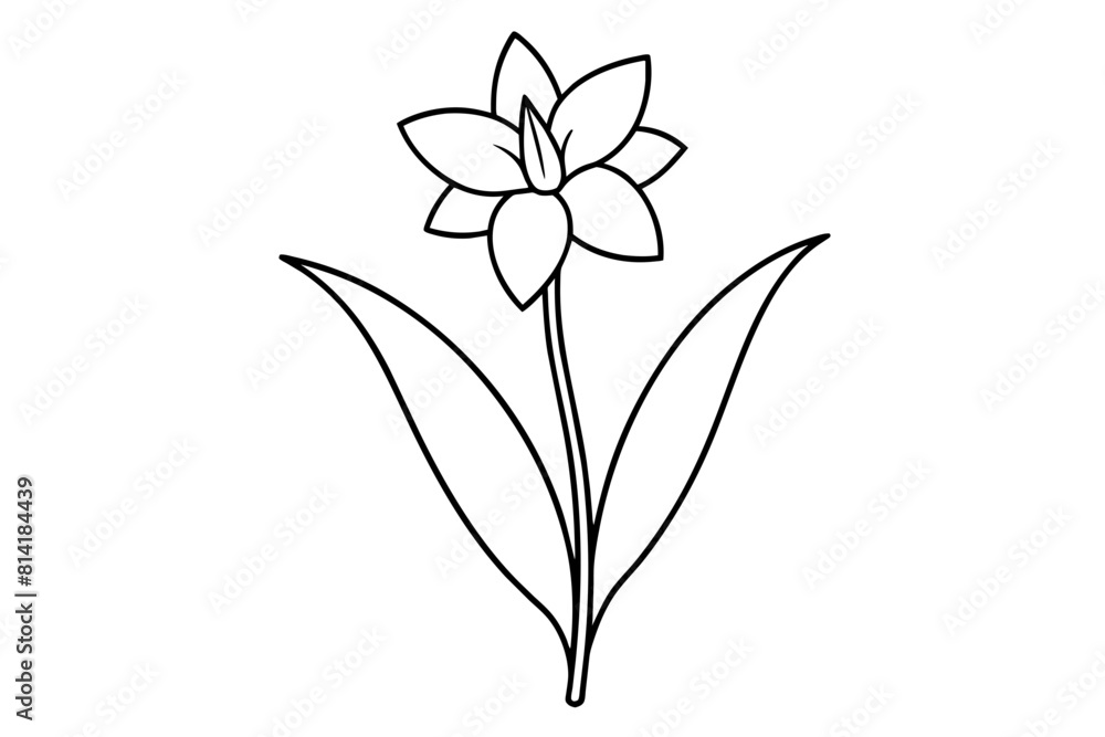 tuberose flower vector illustration