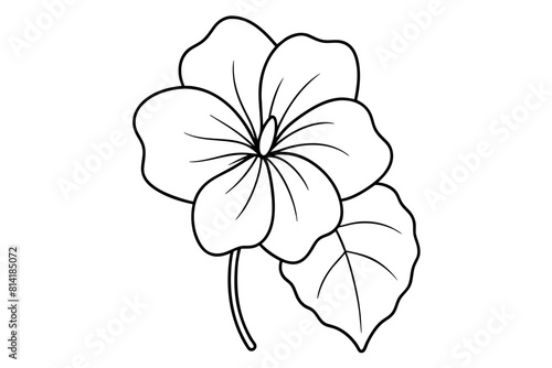nasturtium flower vector illustration