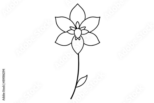 delphinium flower vector illustration © CreativeDesigns
