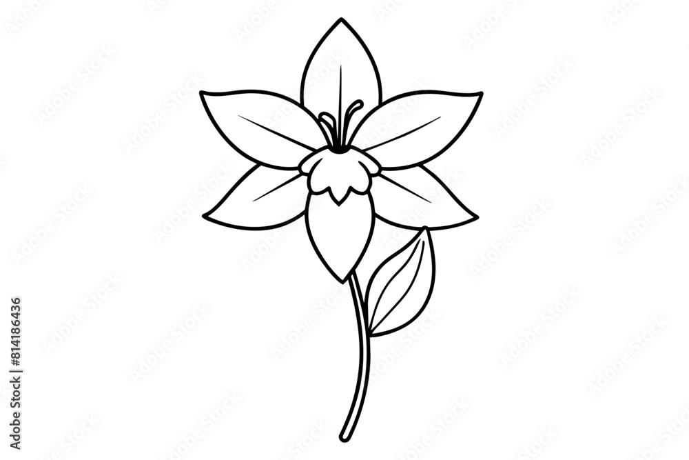 columbine flower vector illustration