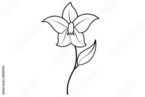 canterbury bells flower vector illustration