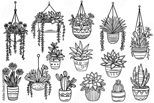 A set of potted plants. Flowers for interior decoration. Succulents.