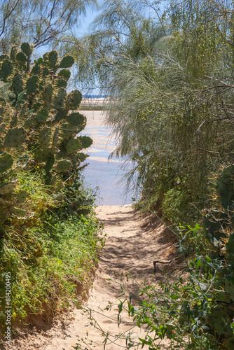 Footpath to the beach at Cacela Velha, Algarve, Portugal