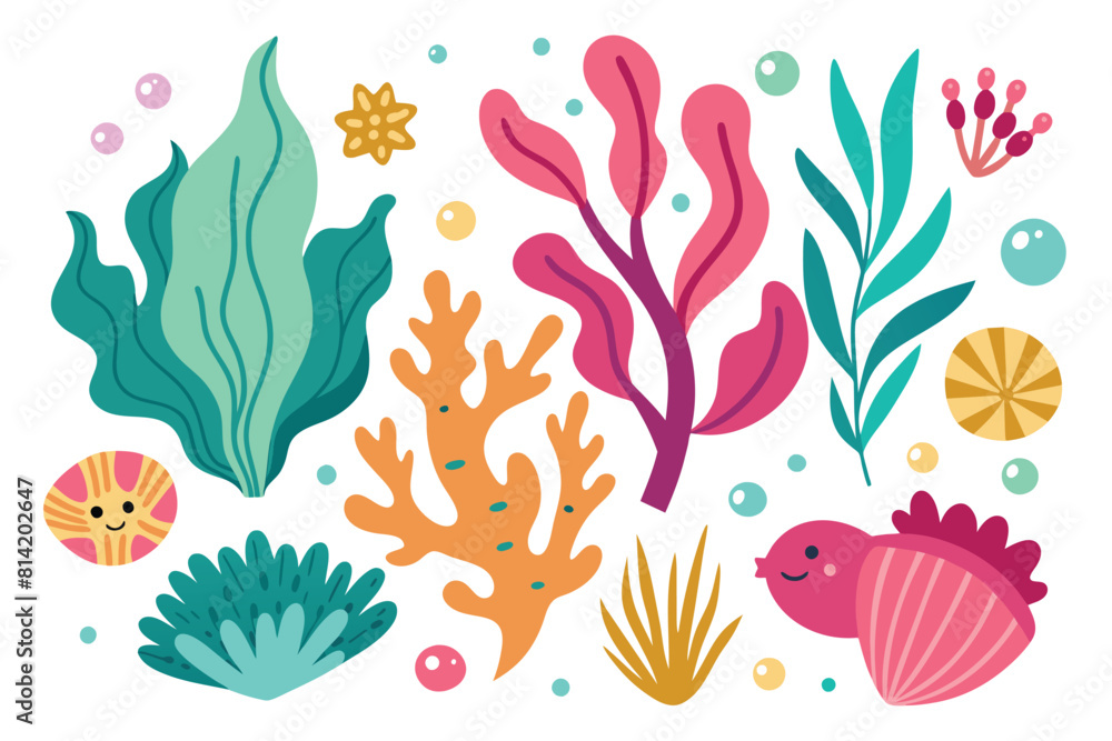 Collection of seaweeds and corals. Collection of seaweeds and corals.