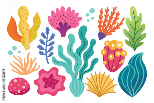 Collection of seaweeds and corals.