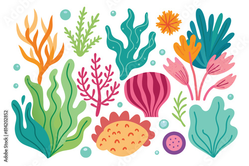 Colorful Marine Plants and Coral Vector Illustration Set for Underwater World Design