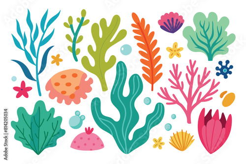 Colorful underwater plants and marine life vector illustration set. Seaweed, coral, and shells for ocean designs.