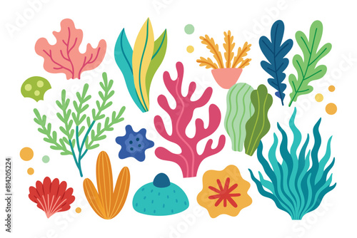 Colorful underwater plants and corals vector illustration set. Hand drawn seaweeds, algae, and marine flora collection.