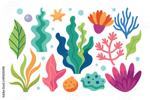 Colorful underwater plants and coral set. Cartoon marine algae and aquatic life collection.