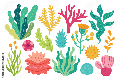Colorful underwater plants, corals, and seaweeds vector illustration set. Marine flora and fauna elements.