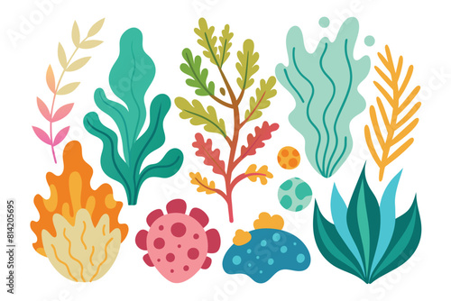 Colorful set of underwater plants, corals, and marine flora vector illustrations. Cartoon algae and sea organisms collection.