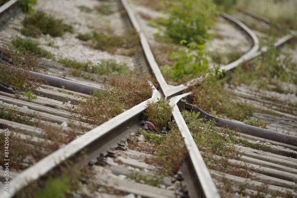 Fototapeta premium railway in the countryside