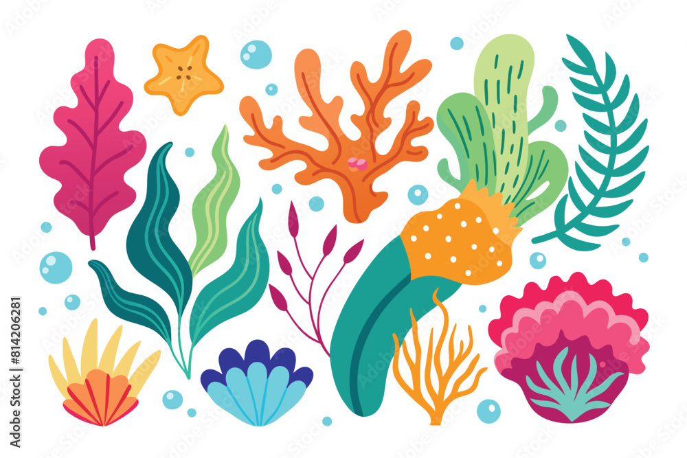 Collection of seaweeds and corals. Collection of seaweeds and corals.