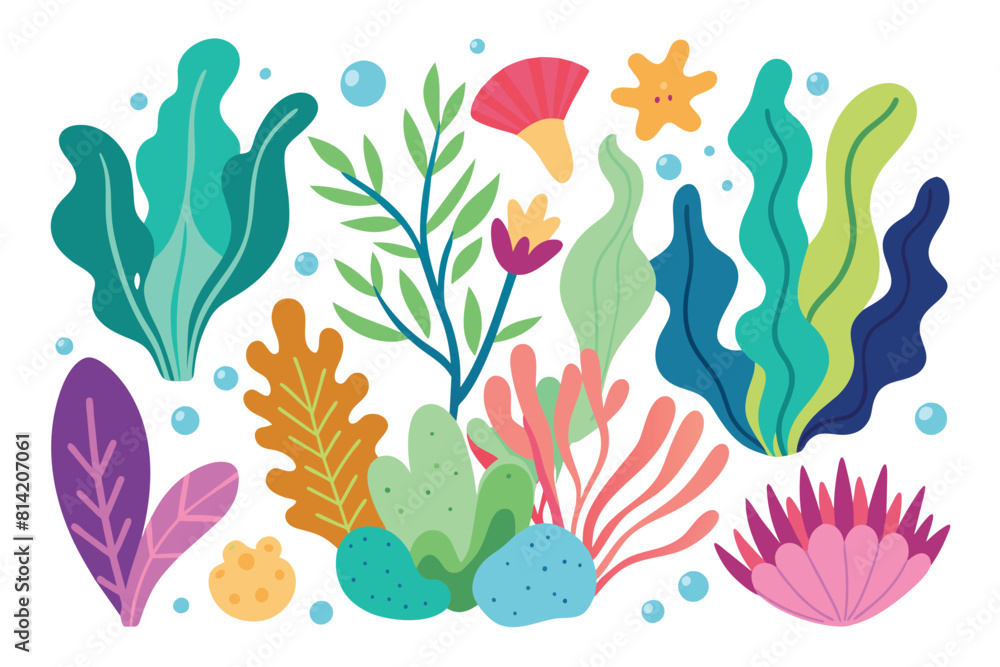 Collection of seaweeds and corals. Collection of seaweeds and corals.