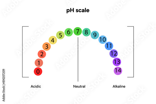 Ph scale infographic acid and alkaline diagram
