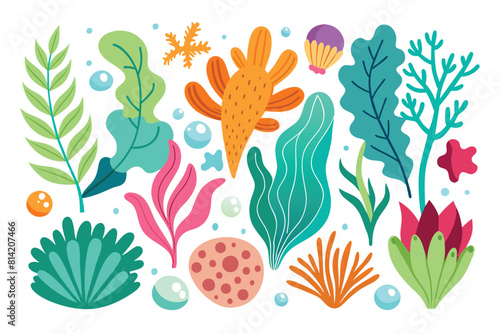 Collection of seaweeds and corals.