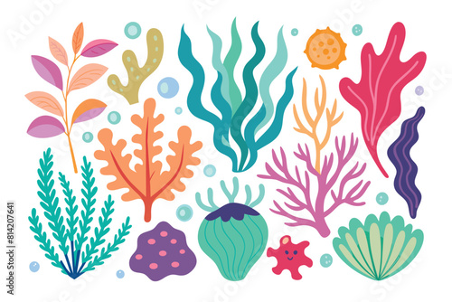 Colorful Seaweed and Coral Reef Marine Plants Illustration Set