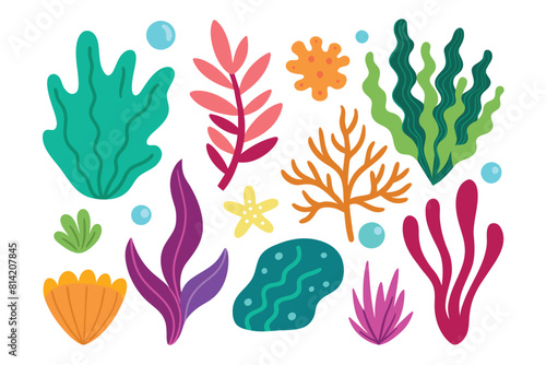 Collection of seaweeds and corals.