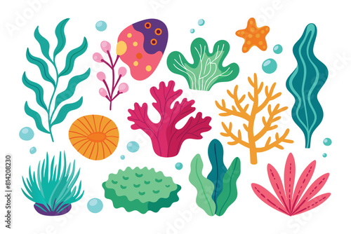 Collection of seaweeds and corals.