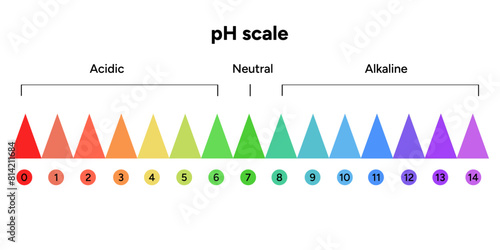 Ph scale infographic acid and alkaline diagram